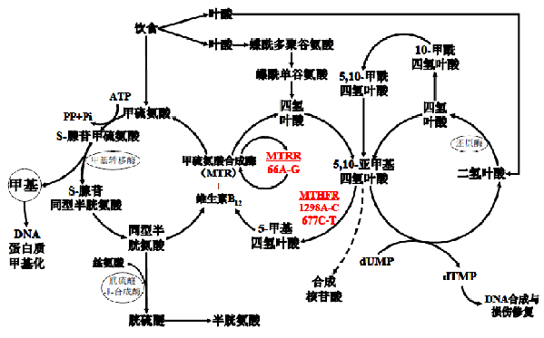 欧博abg(游戏)官网登录入口