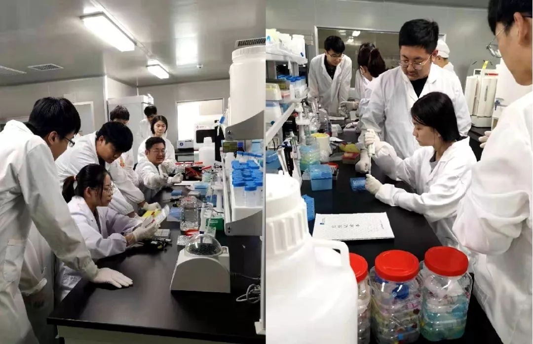 欧博abg(游戏)官网登录入口