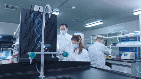 欧博abg(游戏)官网登录入口